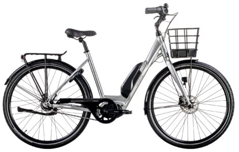 Ecoride Ambassador AXS M5 E5000 5-vxl Silver Dam 2023